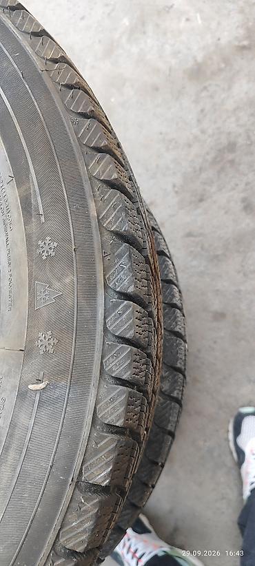Шины: Зимние шины Roadstone (Nexen) Winguard Arctic S-9, без шипов. почти — 4