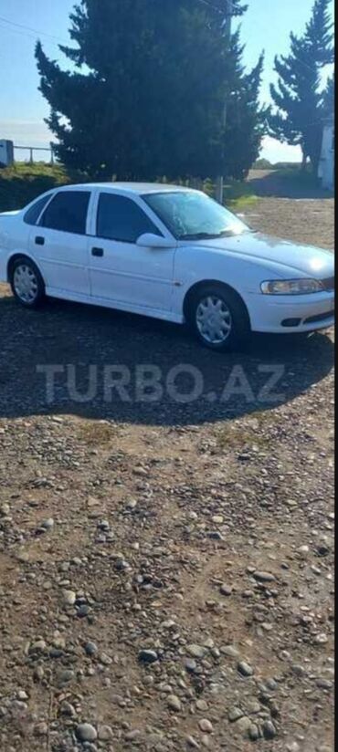 Opel: Opel Vectra: 1.8 l | 2000 il 27400 km Sedan — 6