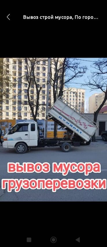 Другие животные: Вывоз мусора вывоз мусора Вывоз мусора вывоз мусора Вывоз мусора