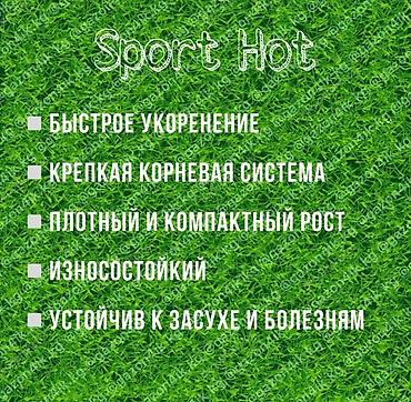 Газон: Семена европейского газона DLF (Дания) по оптовым ценам! ✅В наличии — 11
