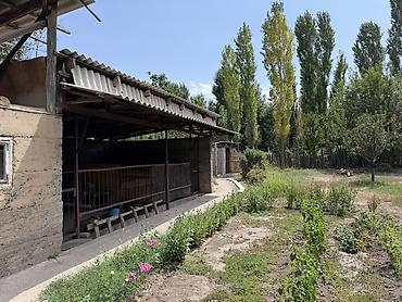 Продажа коттеджей и домов: Дом с участком и хозяйственными постройками Продаю дом,по улице — 15