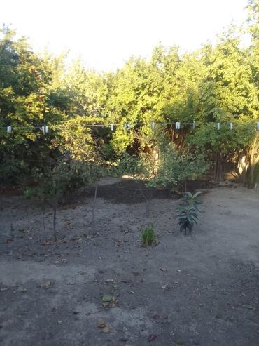 Həyət evləri və villaların satışı: 5 otaqlı, 140 kv. m, Orta təmir — 3