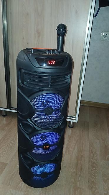 Audio: Portativ partnyor səs sistemi – bofi ZQS88805 - Güclü partnyor tipli — 4
