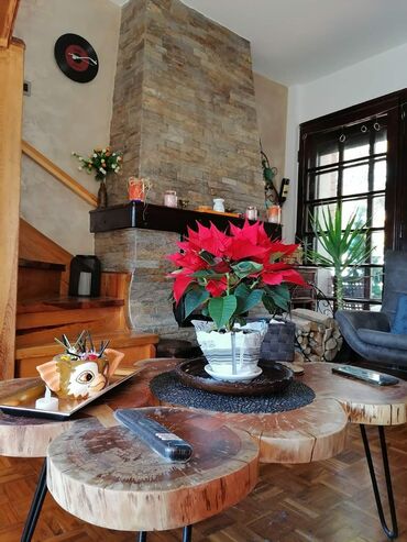 Kuće na prodaju: Planinska kuća sa velikim dvorištem i dekorativnim jezerom - — 24