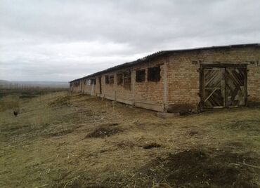 саан уй торпогу менен: Үй, 566 кв. м, 2 бөлмө, Менчик ээси, Эски ремонт