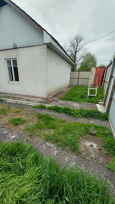 Продажа коттеджей и домов: Срочно продаю дом, с.Маевка, ул.Школьная - Переулок Веселый, участок — 2