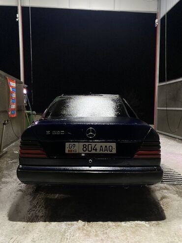 Mercedes-Benz: Mercedes-Benz W124: 1989 г., 2.3 л, Механика, Бензин, Седан — 1