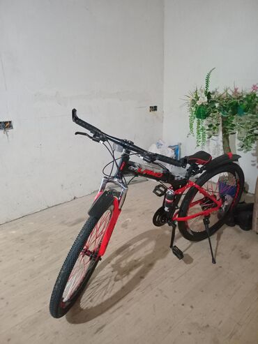 qab qaşiq: Yeni Şəhər velosipedi Lano, 29", sürətlərin sayı: 8, Ünvandan götürmə, Ödənişli çatdırılma