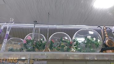 Akvariumlar: Akvarium İstənilən növdə, ölçüdə yumru akvariumlar, terrariumlar — 17