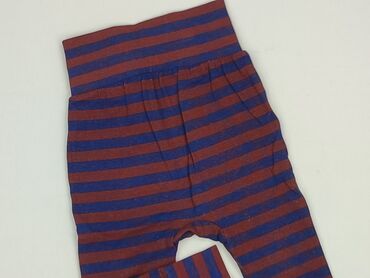 rajstopy imitujace zakolanowki: Sweatpants, Harry Potter, 6-9 months, condition - Very good