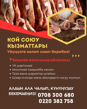 верблюжье молоко купить в бишкеке: Мы предлагаем услуги по забою скота с выездом к вам. Наши специалисты