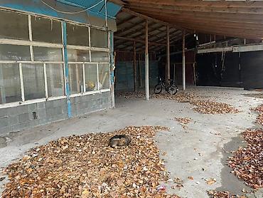 bine atciliqda: Geniş pəncərələri və mavi damı olan bu kommersiya binası müxtəlif — 5