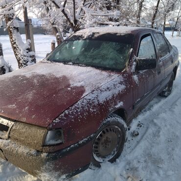 погрузчик миний: Opel Vectra: 1992 г., 1.8 л, Механика, Бензин, Седан