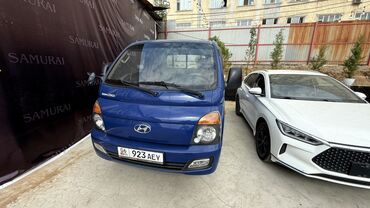 разширительный бачок: Жеңил жүк ташуучу унаа, Hyundai, Стандарт