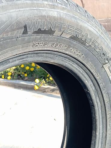 толщиномер etari et 700 max: Зимние шины Goodyear/Dunlop Winter Maxx - Размер: 225/65 R17 - Индекс — 2