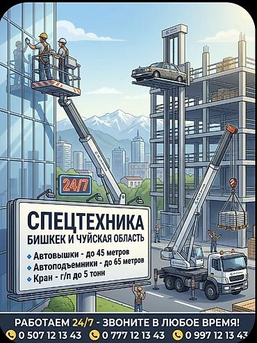 Услуги автовышки: Стрела 45 м, 250 т — 3