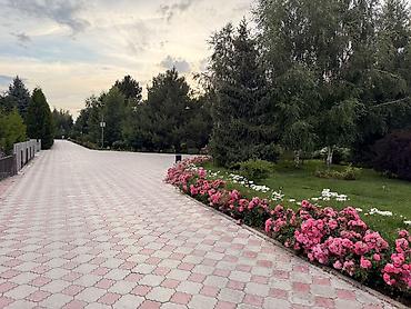 Гостиницы на Иссык-Куле: Гостиница на Иссык-Куле, Royal beach, Чок-Тал, 3 места, Посуточно — 7