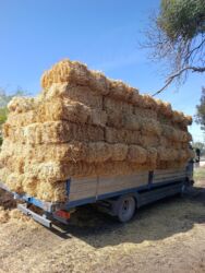 Корма для с/х животных: Арпа Арпа Буудай буудай Саман туктор плотный чоон чоон метровый таза — 2