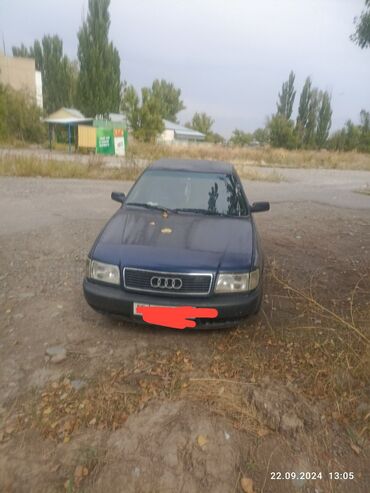 антибак 100: Audi 100: 1993 г., 2.6 л, Механика, Бензин, Седан