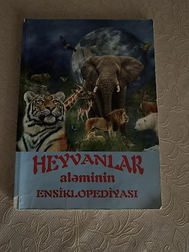 Testlər: Kitablar təmiz və səlqəlidi.Üstündə yazılmayıb.Məktəb və imtahan — 8
