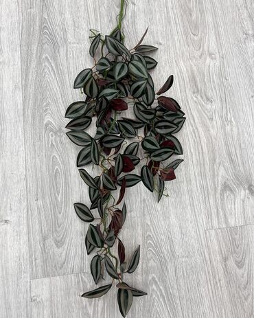 Süni güllər: 9 azn baslayan qiymetler Suni qazonlarin topdan satisi Suni qazon — 8