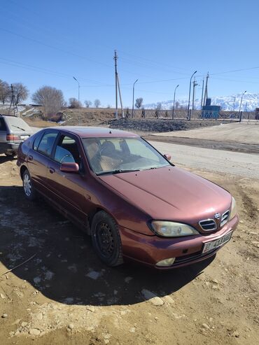 nissan сани: Nissan Primera: 2001 г., 2 л, Механика, Бензин, Седан