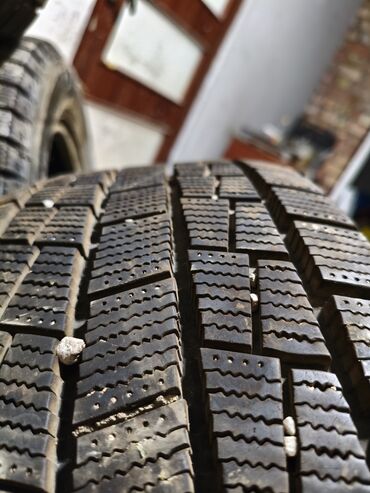 шины бу бишкек: Шиналар 215 / 60 / R 16, Кыш, Комплект, Жеңил унаалар, Goform lalafo.kg да шины бу бишкек: Шиналар 215 / 60 / R 16, Кыш, Комплект, Жеңил унаалар, Goform