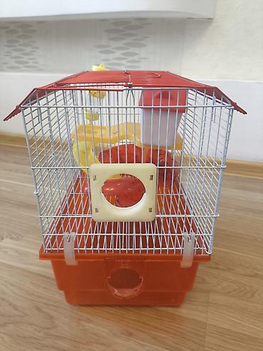 hamster near me: Ev siçanı(xomyak) üçün işlənmiş qab. Su qabi, evi və piləknları — 3