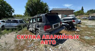 tayota kluger: Выкупаем скупаем аварийный авто