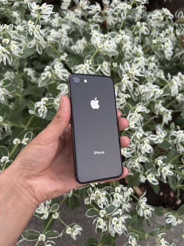 купить кнопочный сотовый телефон: IPhone 8, Новый, 64 ГБ, Jet Black, Чехол, 100 %