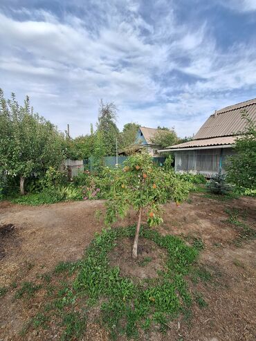 Продажа домов: Дача, 35 м², 2 комнаты, Собственник, Старый ремонт — 15