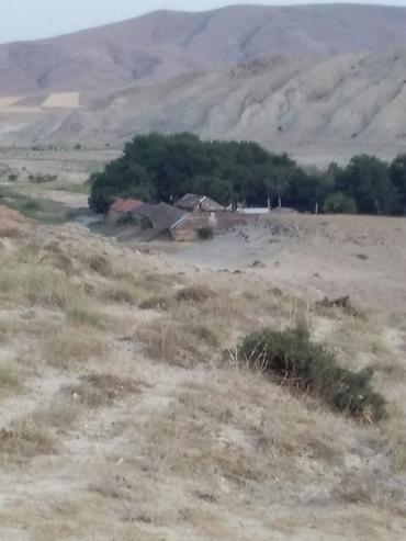 Biznes üçün avadanlıq: ŞAMAXI RAYONUNDA BALIQÇILIQ TƏSƏRRÜFATI (SÜNİ GÖLLƏR KOMPLEKSİ)balıq — 2