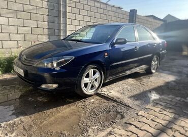 масло кпп: Toyota Camry: 2003 г., 2.4 л, Автомат, Бензин, Седан