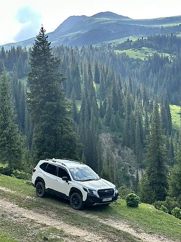 shevrole cruze: Subaru Forester: 2023 г., 2.5 л, Вариатор, Бензин, Кроссовер — 3