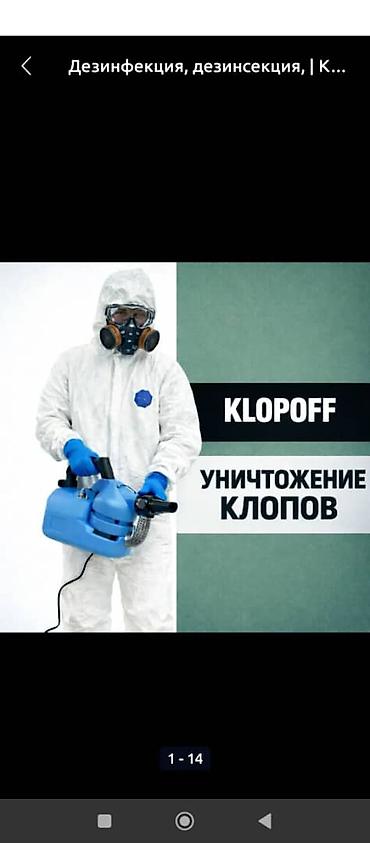 чистка батареи отопления: Профессиональная дезинфекция и дезинсекция - Уничтожение всех видов — 3