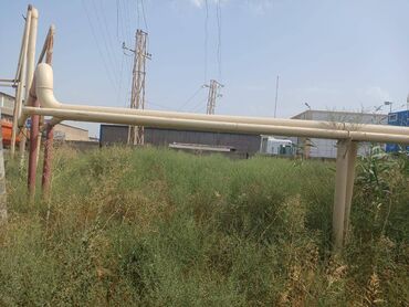 Torpaq sahələrinin satışı: 10 sot, Tikinti, Bələdiyyə — 4