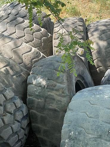 Шины: Шины и камеры на сельхозтехнику и спецтехнику Т-150 погрузчики кара — 7