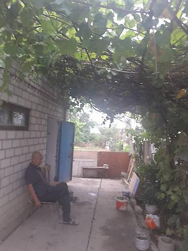 Продажа дач: Продажа дач — 2