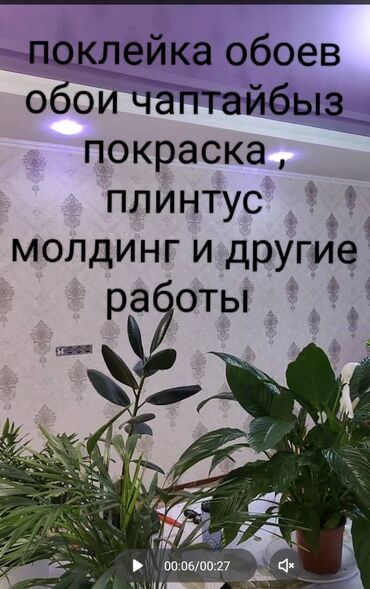 ремонт обоев: Поклейка обоев, демонтаж старого обоя Покраска, молдинг и укладка