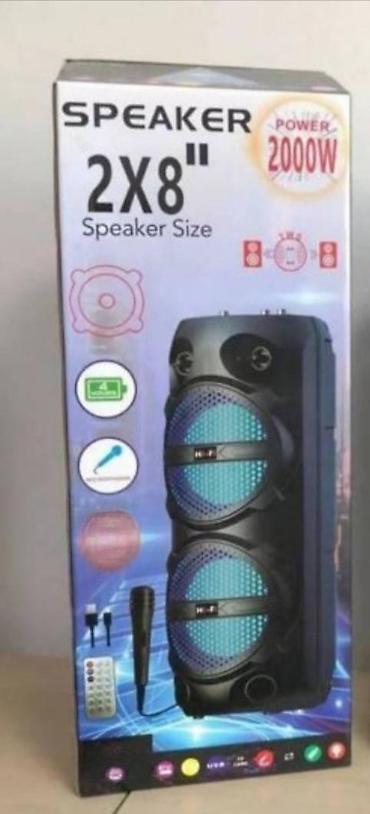 vinil ploce prodaja: Bluetooth karaoke zvučnik ds-2806. bluetooth karaoke zvučnik ds-2806 — 1