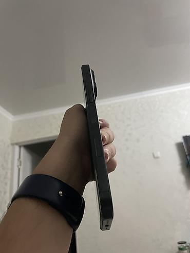 тру: IPhone 16 Pro Max, Б/у, 256 ГБ, Black Titanium, Чехол, 91 % — 5