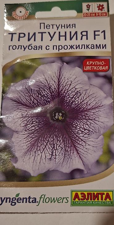tut agaci calaq: Məhsul: Petuniya toxumları – AELITA (garantiya keyfiyyəti), bəzi — 2