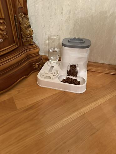 Зоотовары: Boz rəngli balaca pişik üçün tam dəst aksesuarlar Paketə daxildir: - — 5