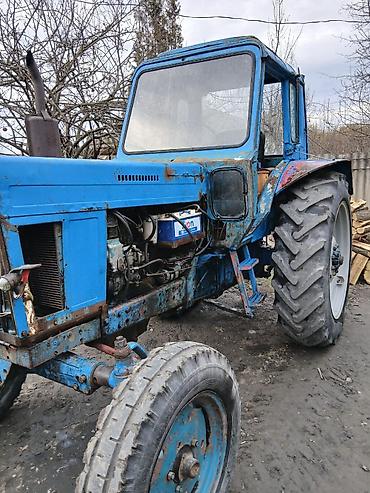 Traktorlar: Traktor Belarus (MTZ) 80, 1979 il, 80 at gücü, motor 4.7 l, İşlənmiş — 3