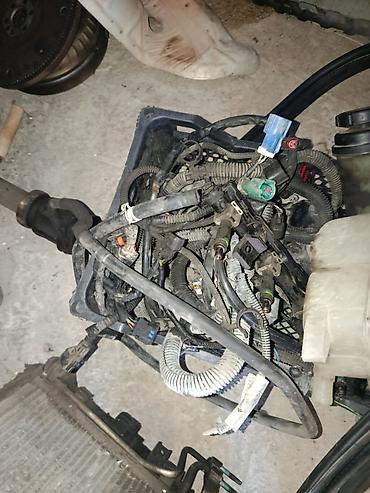cruz radiator: Ford üçün orijinal ehtiyat hissələri paketi Satılır: VW qamma — 8