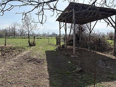 Продажа коттеджей и домов: Срочно
село Чалдовар, улица Советская 280 at lalafo.kg — 43 Продажа коттеджей и домов: Срочно
село Чалдовар, улица Советская 280 — 43