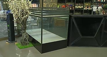 akvarium zavod istehsalı: Metal, Zəmanətsiz, Kredit yoxdur — 3
