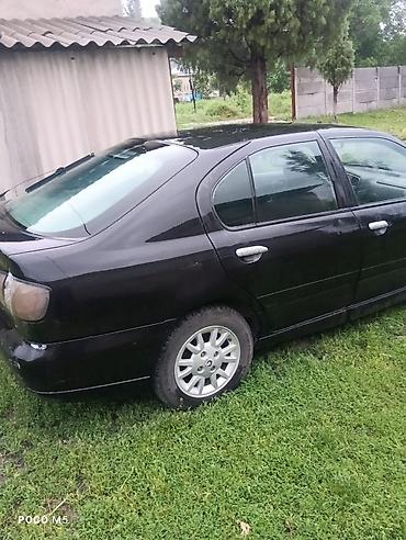 e klass: Nissan Primera: 2002 г., 2 л, Механика, Бензин, Седан — 6