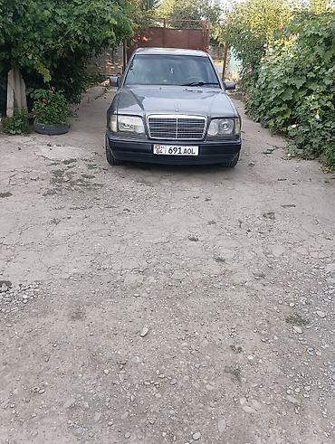 lexus 33: Mercedes-Benz W124: 1995 г., 2.2 л, Автомат, Бензин, Седан — 2