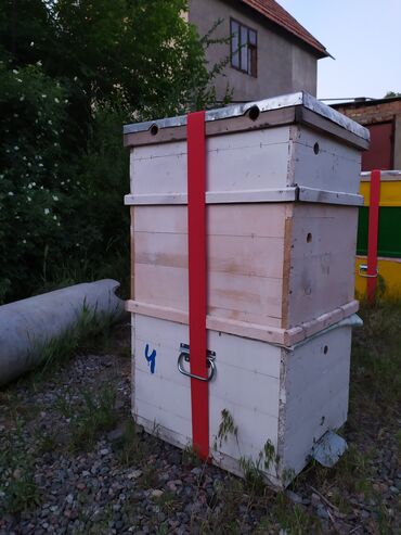 пчелиный улей: Продается
Есть 5 Улей 
Каждый 
Состояние Хорошая